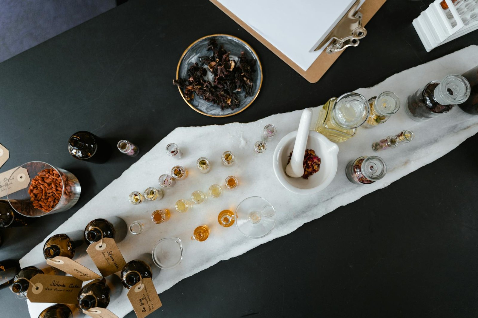 Explore the Elite: Top-Rated Biohacking Equipment Faces Off