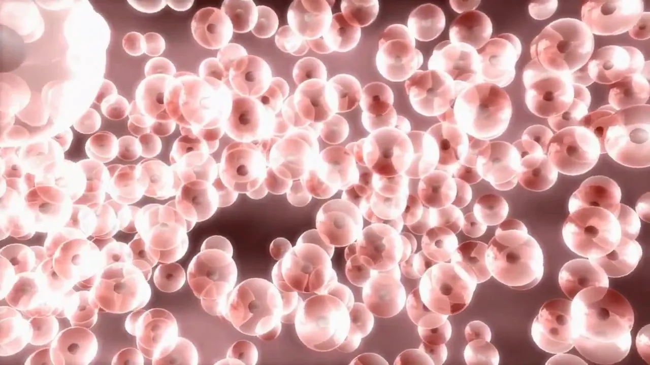 Stem cell activation technology mechanism