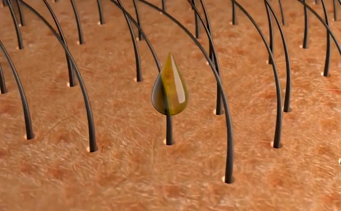 Microscopic view of hair follicle health