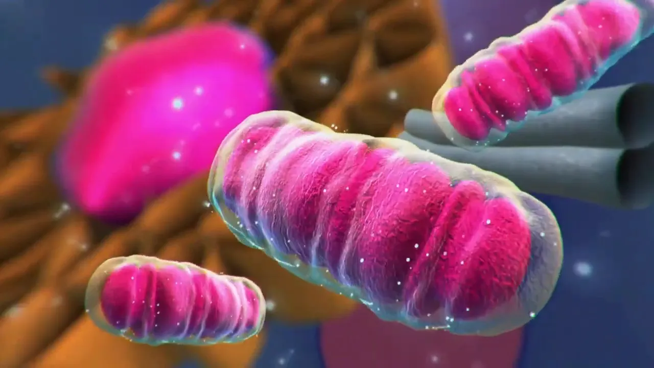 Stem cell activation sparking healing cascade