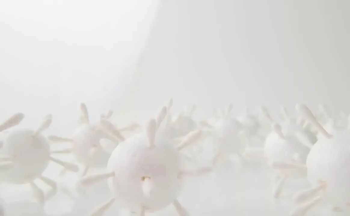 Stem cells regenerating hair follicles