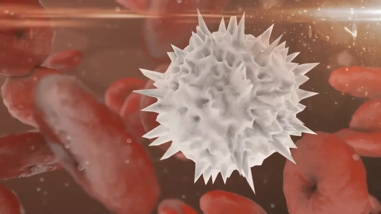 Immune system cellular malfunction