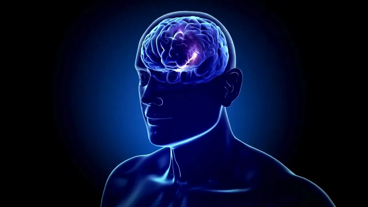 Brain coherence improvement graph