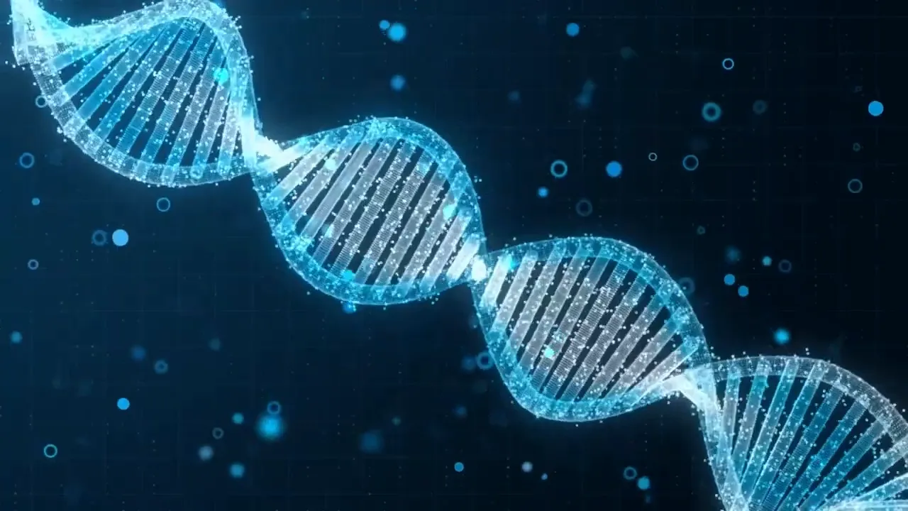 Cellular health optimization pathway diagram