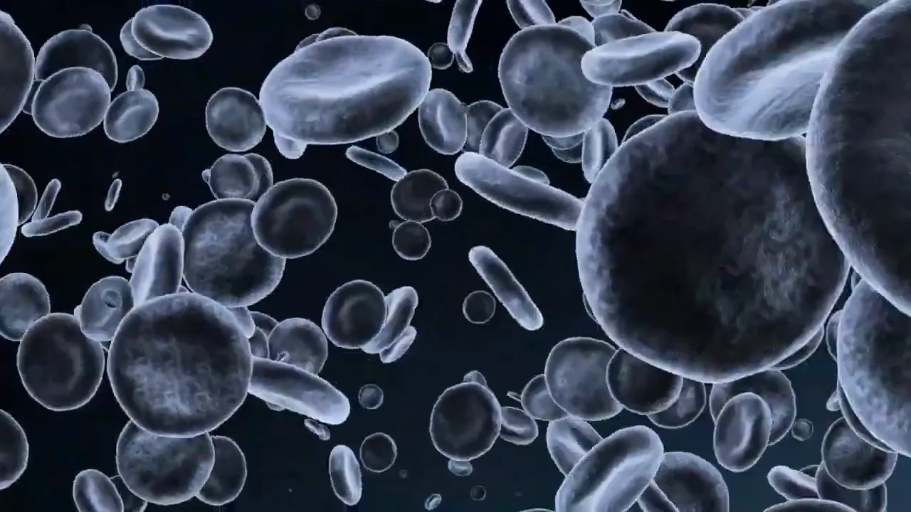 Steps to optimize cellular health