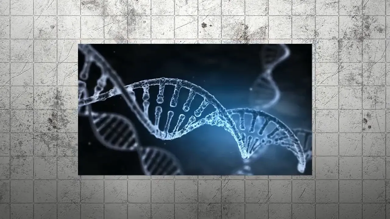 Six pathways affecting cellular health